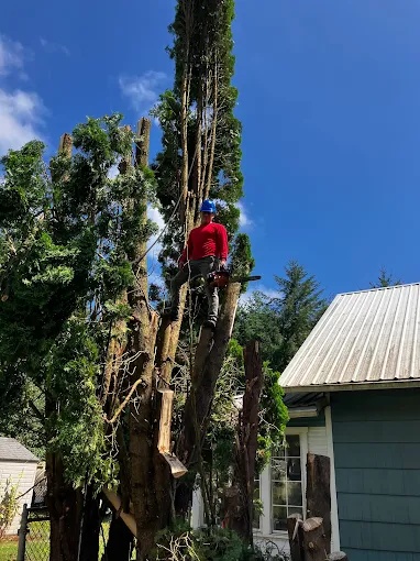 Tree Services